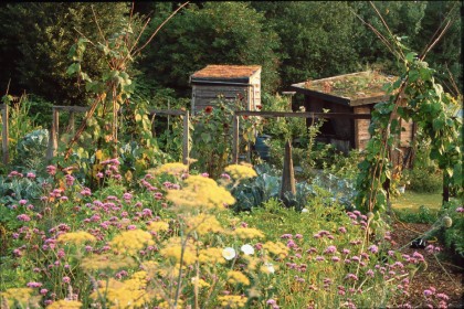Allotment Open