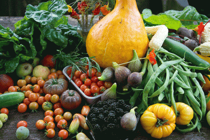 Bushy Park Allotment Open Days 2015