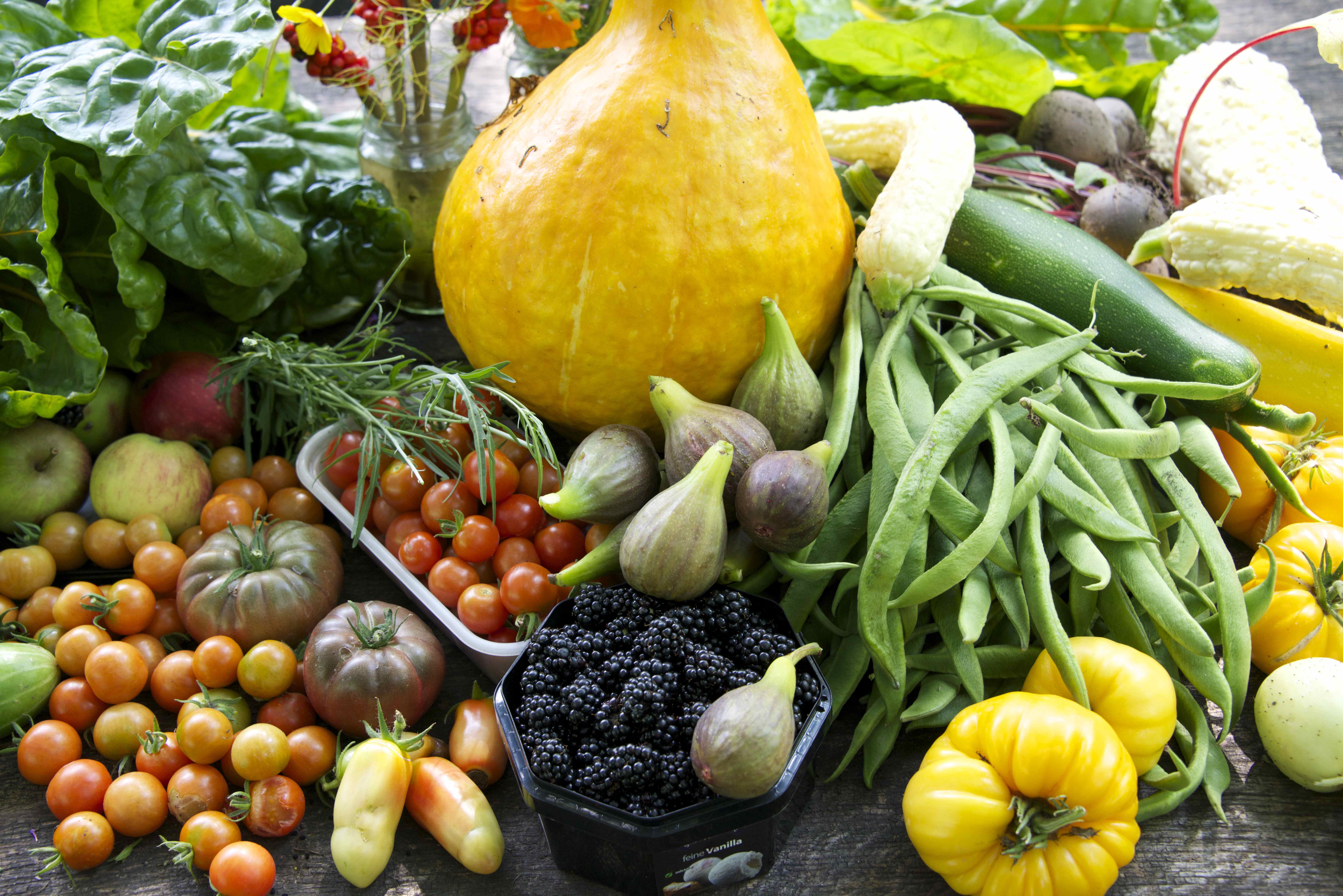 The Garden of Vegan Cleve West