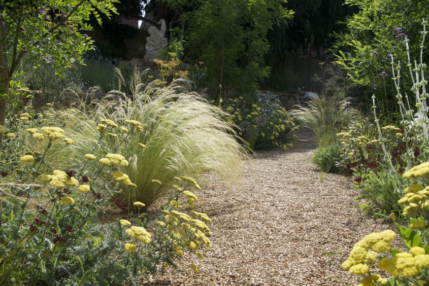 Cleve West, Landscape Design, Garden Designer, Award Winning, dry stone walling, levels, Yorkstone, Dianthus cruentus