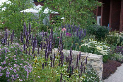 Horatio's Garden, Cleve West Landscape Design, award winning, SSIT, contemporary garden, garden designers surrey, garden designers london, RHS Gold Medalist