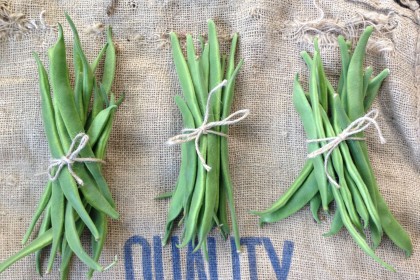 Cancelled: Bushy Park Allotment Open Day