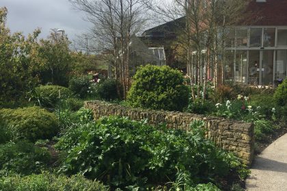 Horatio’s Garden and Pin Cake